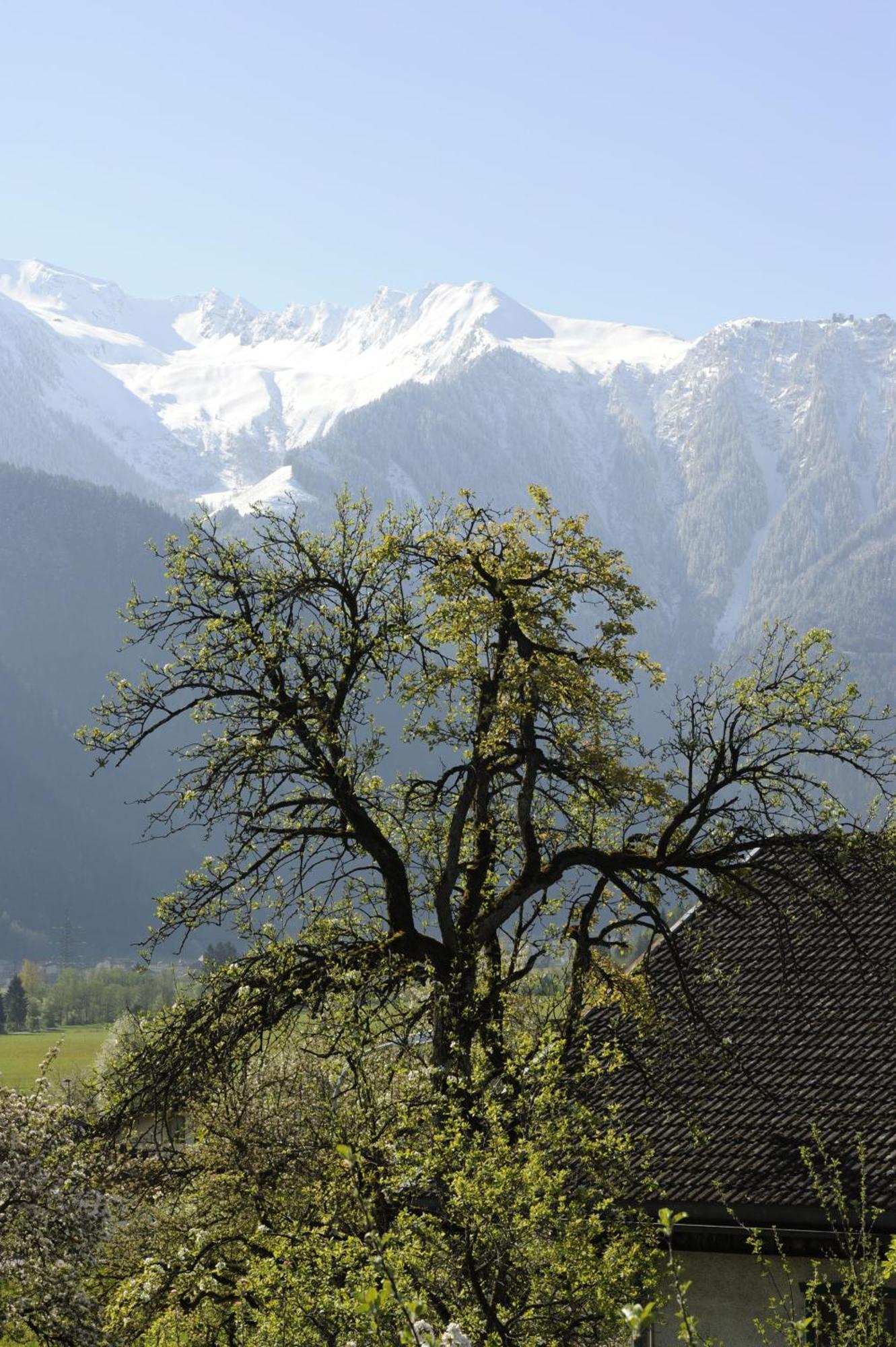 Апартаменты Oberstockachhof Швендау Экстерьер фото